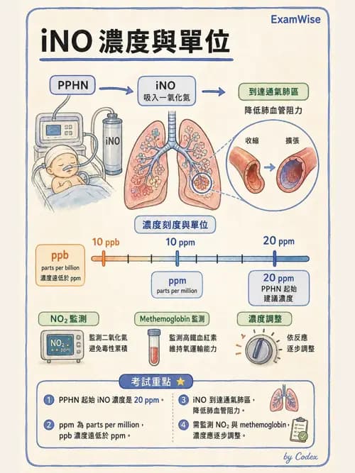 呼吸治療師 - 呼吸系統藥物 - AI 圖文解析預覽