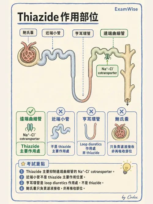 呼吸治療師 - 心臟血管藥物 - AI 圖文解析預覽
