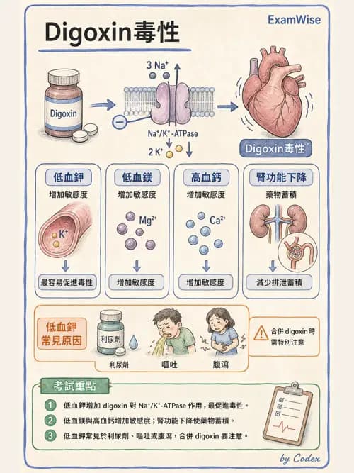 呼吸治療師 - 心臟血管藥物 - AI 圖文解析預覽