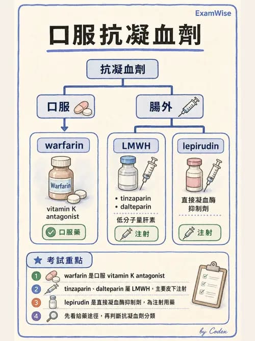 呼吸治療師 - 心臟血管藥物 - AI 圖文解析預覽