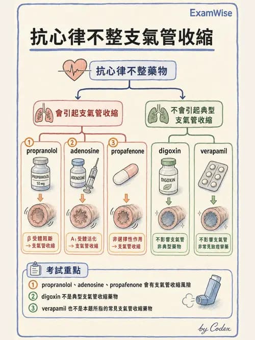 呼吸治療師 - 心臟血管藥物 - AI 圖文解析預覽