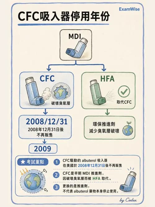 呼吸治療師 - 濕氣與霧氣治療 - AI 圖文解析預覽