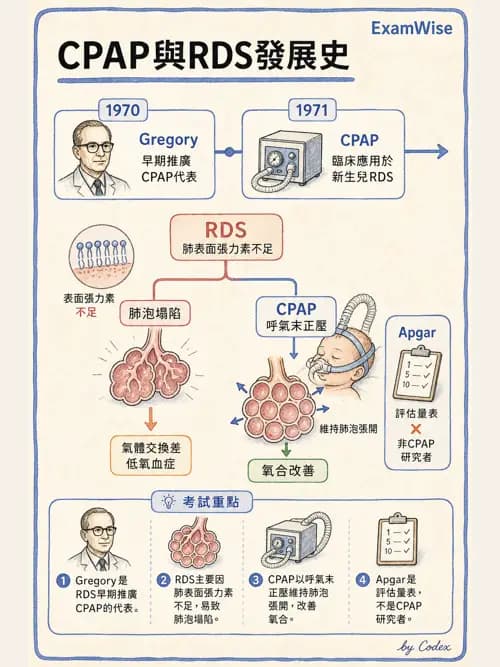 呼吸治療師 - 呼吸治療演進與角色 - AI 圖文解析預覽