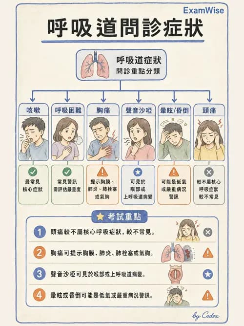 呼吸治療師 - 呼吸治療臨床作業與身體評估 - AI 圖文解析預覽