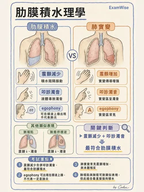 呼吸治療師 - 呼吸治療臨床作業與身體評估 - AI 圖文解析預覽