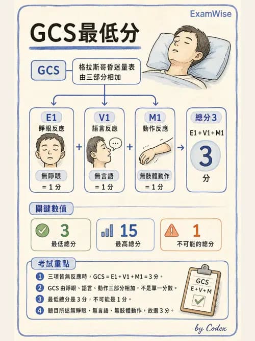 呼吸治療師 - 呼吸治療臨床作業與身體評估 - AI 圖文解析預覽