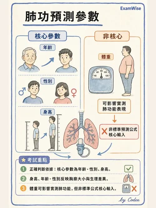 呼吸治療師 - 呼吸功能檢查 - AI 圖文解析預覽