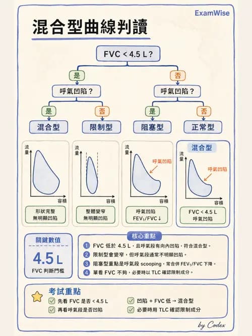 呼吸治療師 - 呼吸功能檢查 - AI 圖文解析預覽