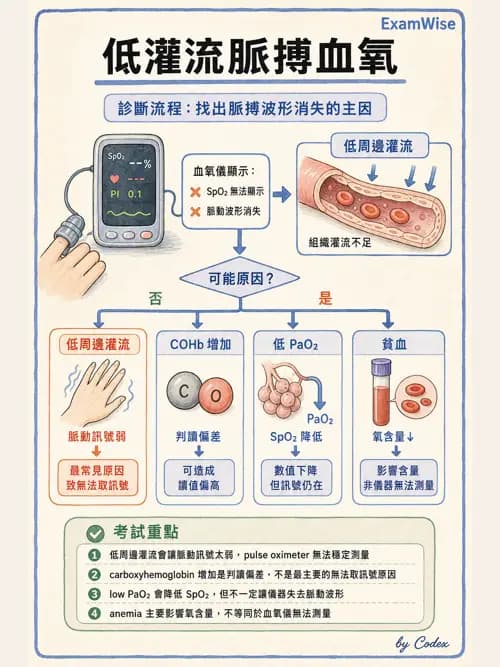 呼吸治療師 - 動脈血液氣體分析與氧合評估 - AI 圖文解析預覽