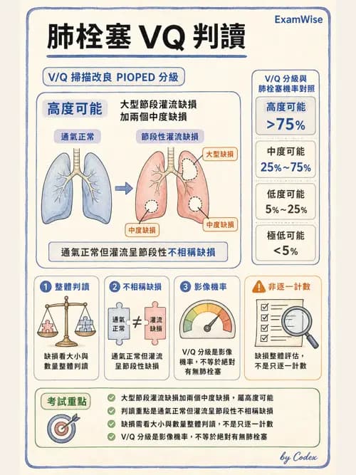 呼吸治療師 - 心血管評估與實驗室檢查 - AI 圖文解析預覽