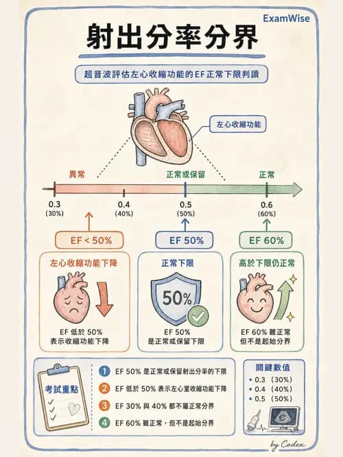 呼吸治療師 - 心血管評估與實驗室檢查 - AI 圖文解析預覽