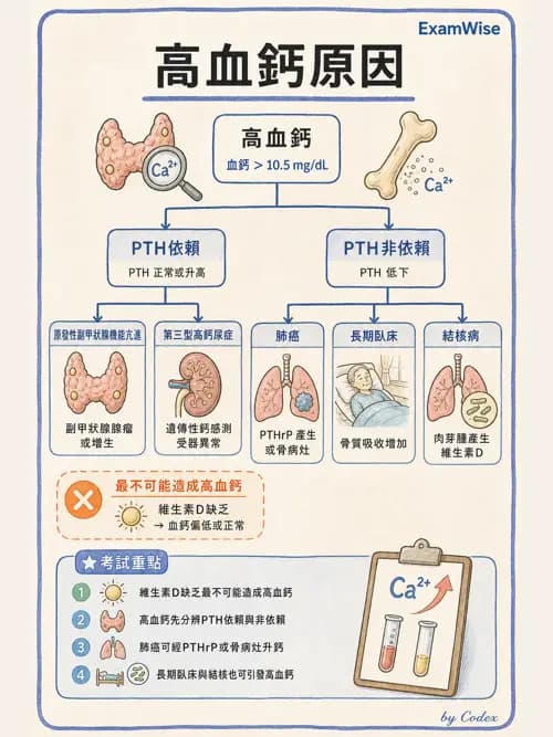 呼吸治療師 - 心血管評估與實驗室檢查 - AI 圖文解析預覽