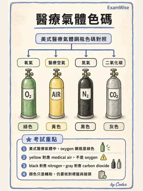 呼吸治療師 - 氣體輸送系統與氧氣治療 - AI 圖文解析預覽
