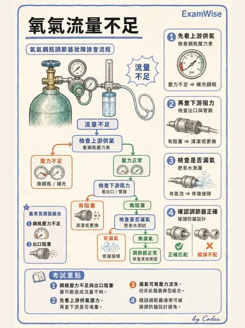 呼吸治療師 - 氣體輸送系統與氧氣治療 - AI 圖文解析預覽