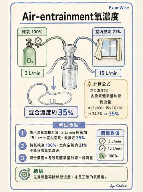 呼吸治療師 - 氣體輸送系統與氧氣治療 - AI 圖文解析預覽