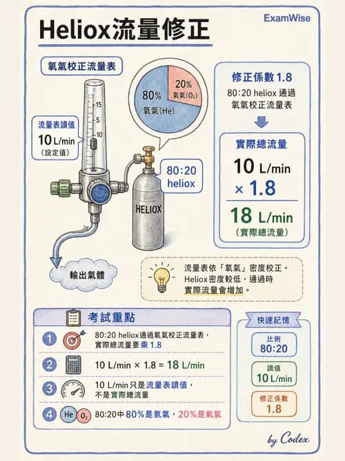 呼吸治療師 - 氣體輸送系統與氧氣治療 - AI 圖文解析預覽