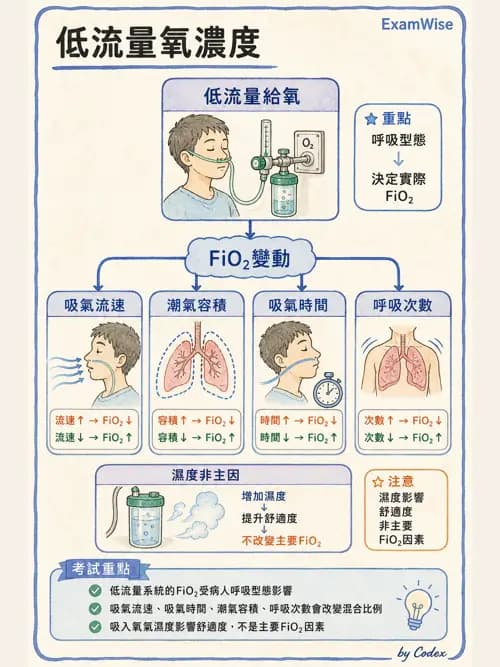 呼吸治療師 - 氣體輸送系統與氧氣治療 - AI 圖文解析預覽