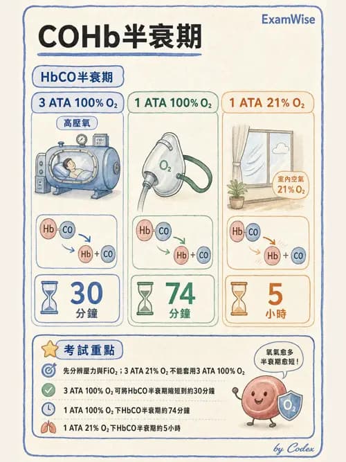 呼吸治療師 - 氣體輸送系統與氧氣治療 - AI 圖文解析預覽