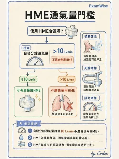 呼吸治療師 - 濕氣與霧氣治療 - AI 圖文解析預覽