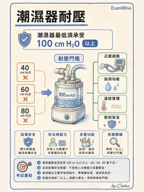 呼吸治療師 - 濕氣與霧氣治療 - AI 圖文解析預覽