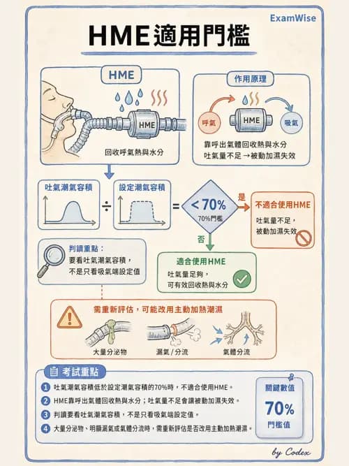 呼吸治療師 - 濕氣與霧氣治療 - AI 圖文解析預覽