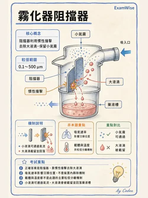 呼吸治療師 - 濕氣與霧氣治療 - AI 圖文解析預覽