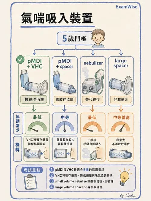 呼吸治療師 - 濕氣與霧氣治療 - AI 圖文解析預覽