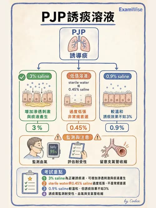 呼吸治療師 - 濕氣與霧氣治療 - AI 圖文解析預覽