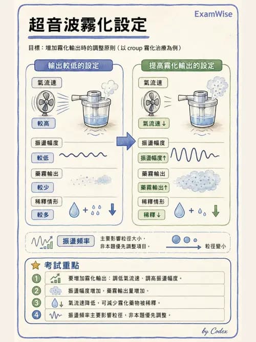 呼吸治療師 - 濕氣與霧氣治療 - AI 圖文解析預覽