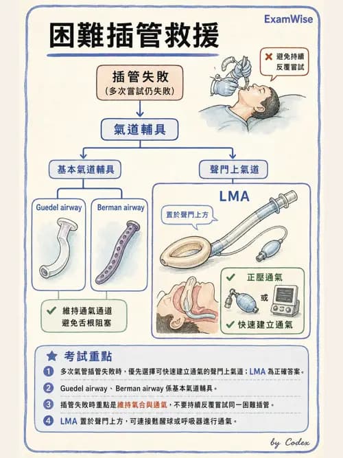 呼吸治療師 - 人工氣道處置 - AI 圖文解析預覽