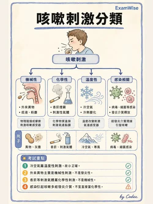 呼吸治療師 - 痰液清除與擴張治療 - AI 圖文解析預覽