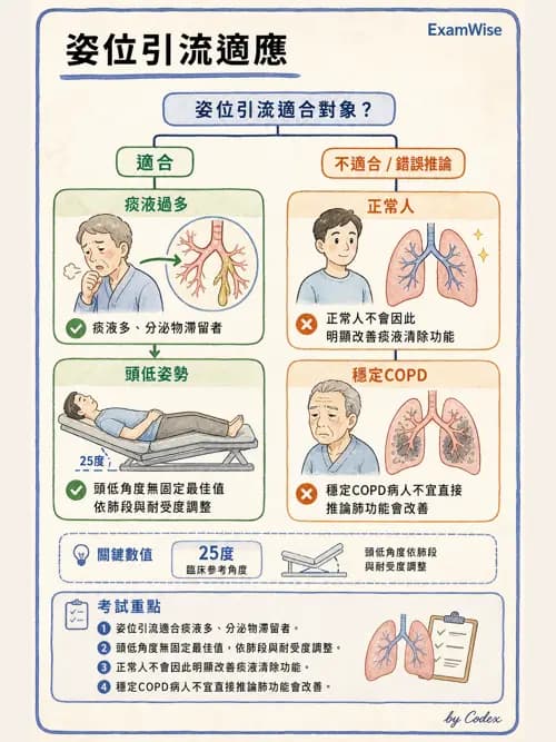 呼吸治療師 - 痰液清除與擴張治療 - AI 圖文解析預覽