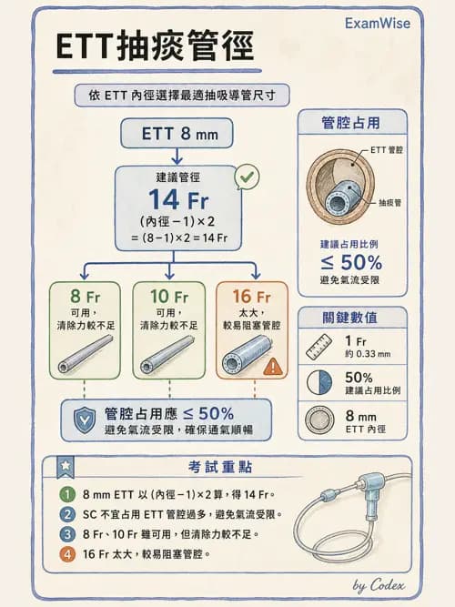 呼吸治療師 - 痰液清除與擴張治療 - AI 圖文解析預覽