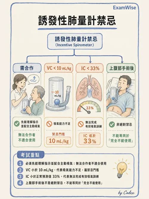 呼吸治療師 - 痰液清除與擴張治療 - AI 圖文解析預覽
