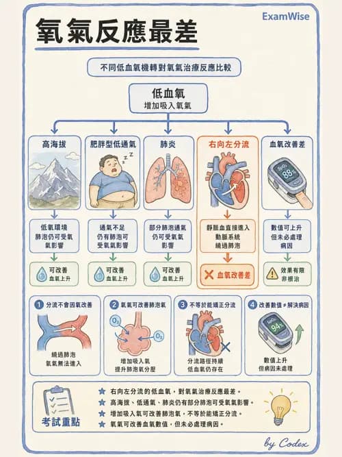 呼吸治療師 - 氣體輸送系統與氧氣治療 - AI 圖文解析預覽