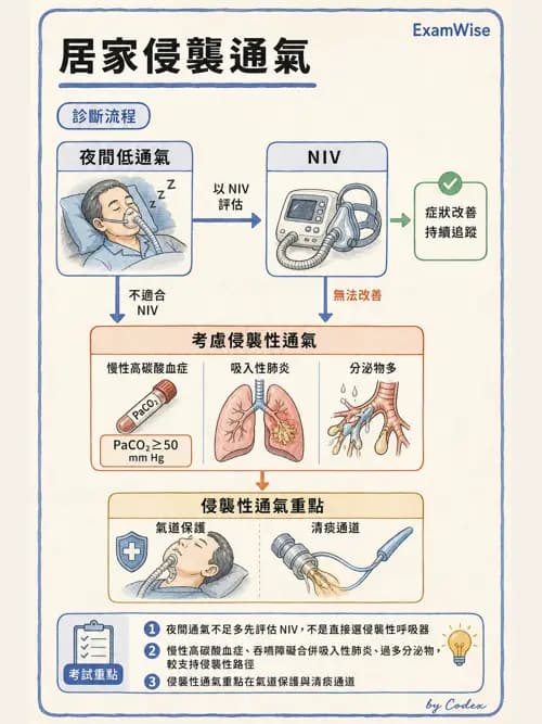 呼吸治療師 - 長期呼吸照護 - AI 圖文解析預覽