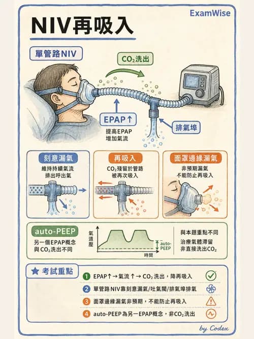 呼吸治療師 - 長期呼吸照護 - AI 圖文解析預覽