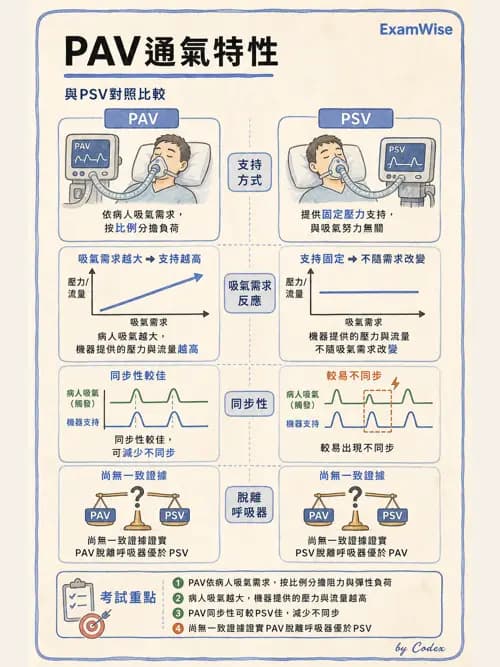 呼吸治療師 - 長期呼吸照護 - AI 圖文解析預覽