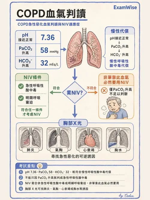 呼吸治療師 - 動脈血液氣體分析與氧合評估 - AI 圖文解析預覽