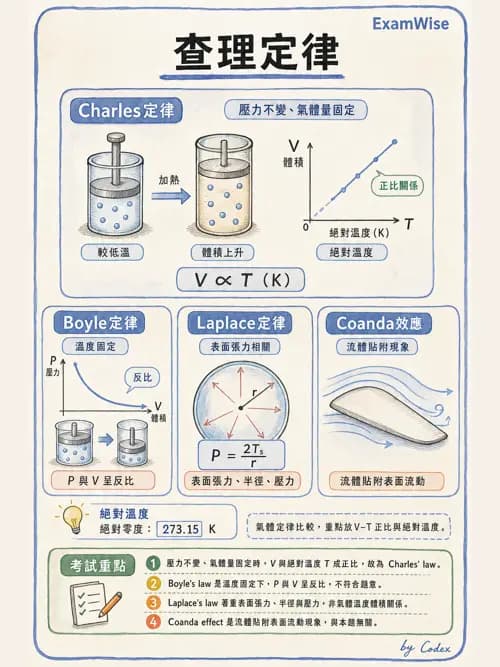 呼吸治療師 - 氣體物理學 - AI 圖文解析預覽