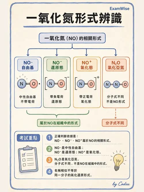 呼吸治療師 - 醫療氣體製造與儲存 - AI 圖文解析預覽