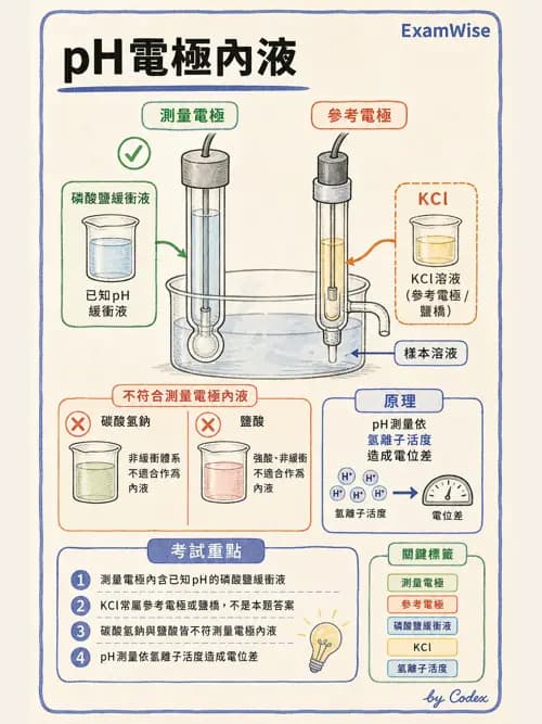 呼吸治療師 - 動脈血氣體分析設備 - AI 圖文解析預覽