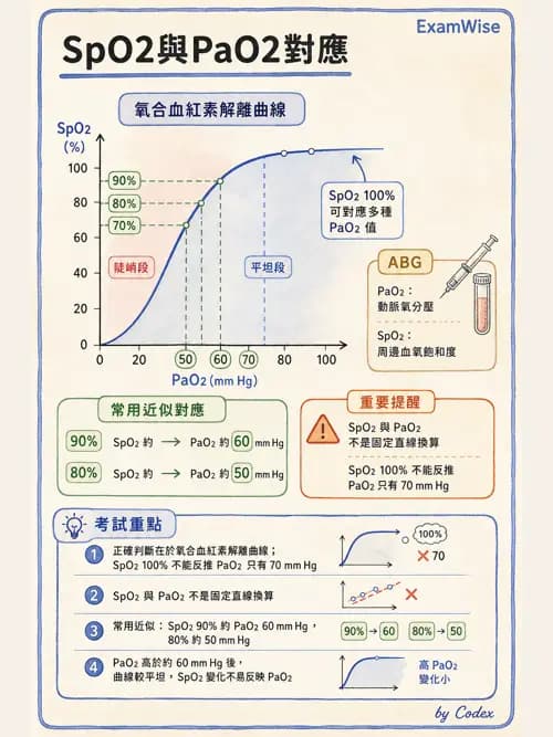 呼吸治療師 - 非侵入性呼吸監測設備 - AI 圖文解析預覽