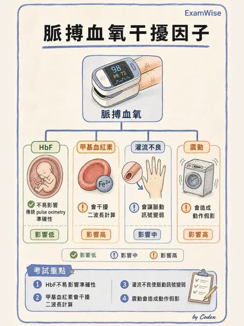 呼吸治療師 - 非侵入性呼吸監測設備 - AI 圖文解析預覽