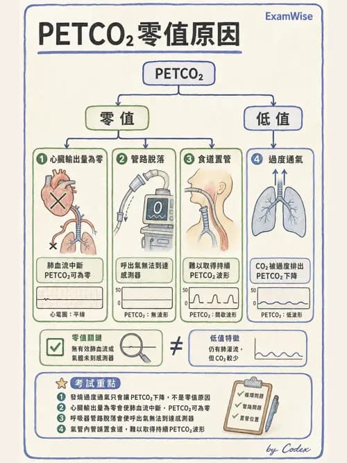 呼吸治療師 - 非侵入性呼吸監測設備 - AI 圖文解析預覽
