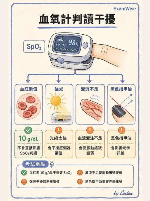 呼吸治療師 - 非侵入性呼吸監測設備 - AI 圖文解析預覽