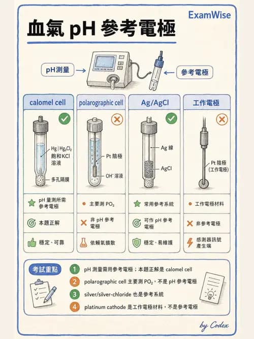 呼吸治療師 - 動脈血氣體分析設備 - AI 圖文解析預覽
