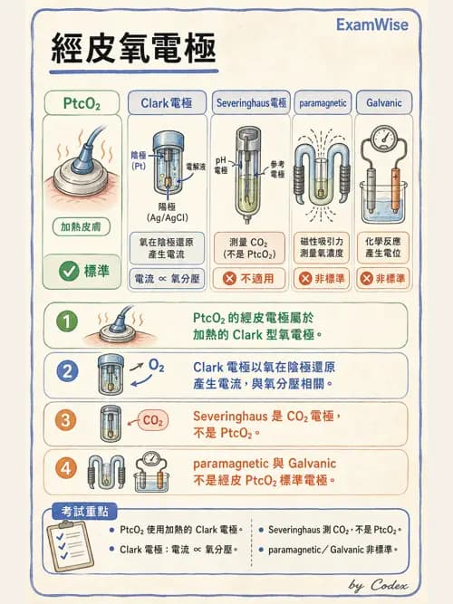 呼吸治療師 - 非侵入性呼吸監測設備 - AI 圖文解析預覽