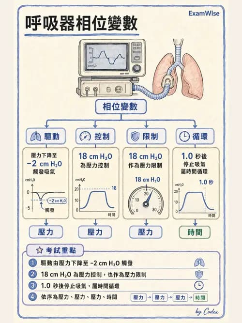 呼吸治療師 - 呼吸機械力學監測 - AI 圖文解析預覽