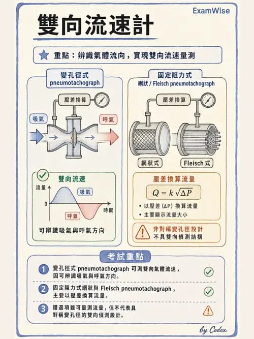 呼吸治療師 - 呼吸機械力學監測 - AI 圖文解析預覽